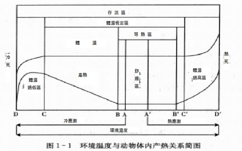 環境溫度與動物體內產熱關係簡圖.jpg