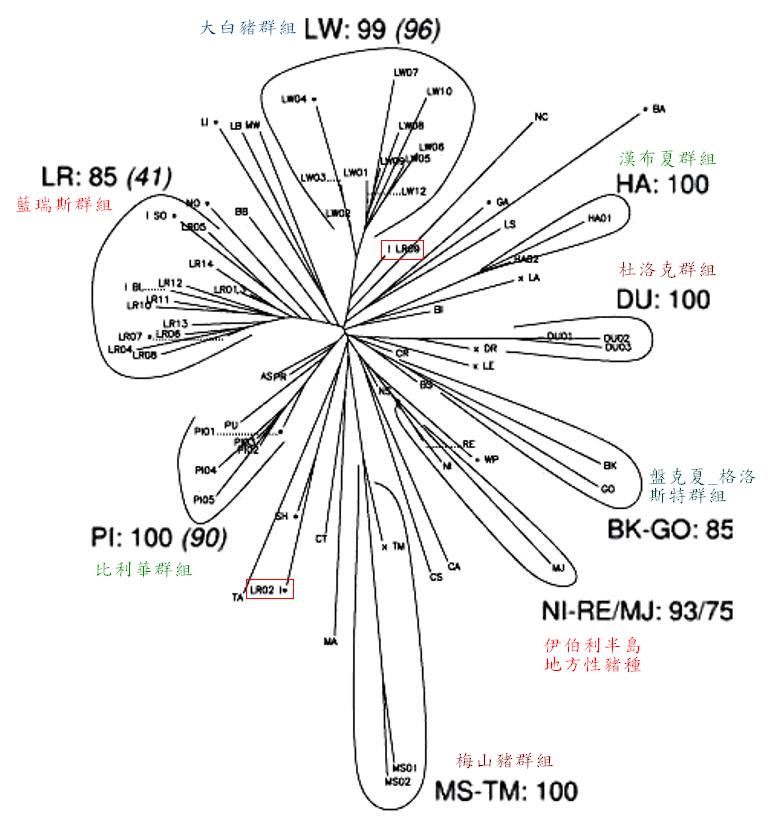 genetic distance among pig breeds L.JPG