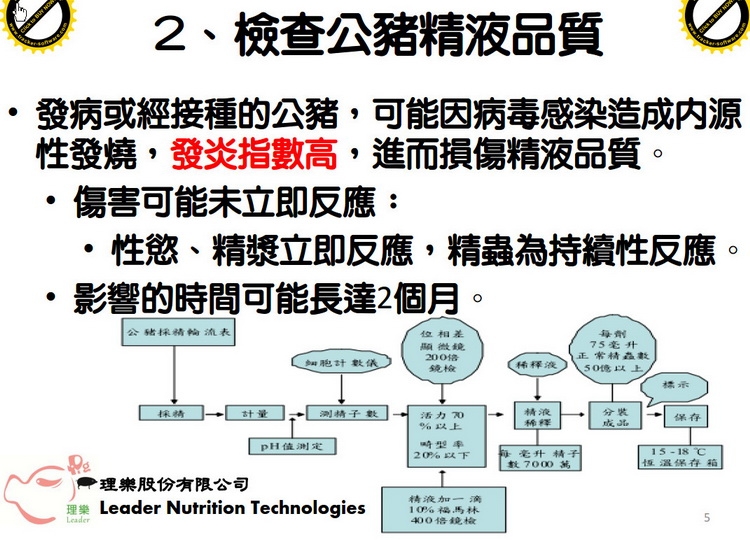 PED 公豬精液