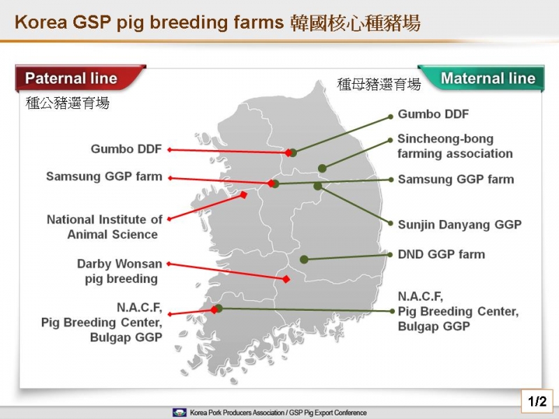 韓國核心種豬場族群優勢-1