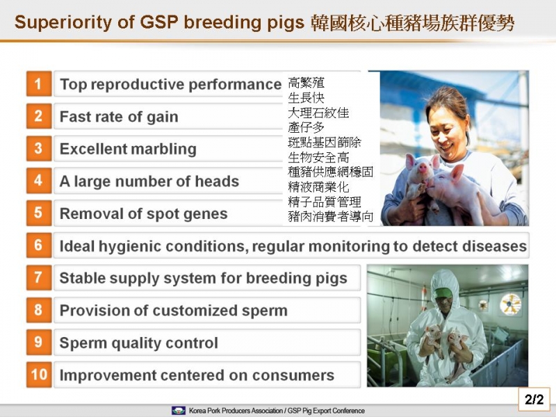 韓國核心種豬場族群優勢-2