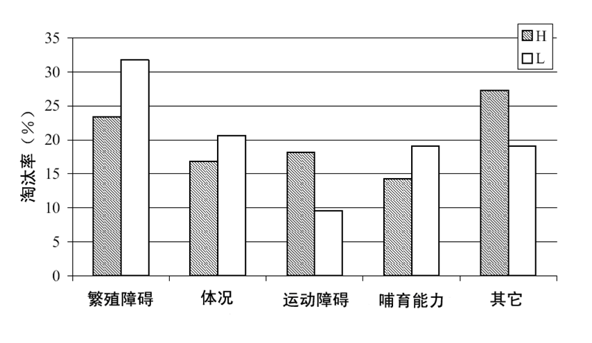 圖 7. 高賴氨酸（H）與低賴氨酸（L）日糧組的母豬淘汰模式對比